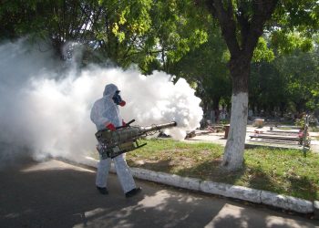 DESCARTAN 4 CASOS SOSPECHOSO Combaten dengue en colonias de “alto riesgo”