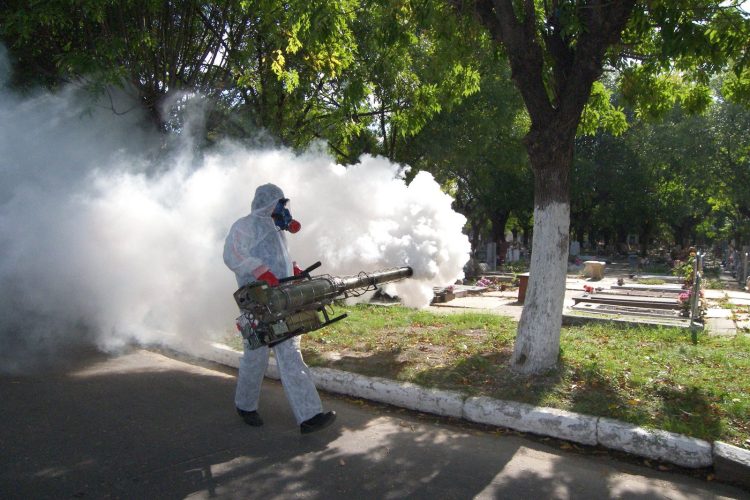 DESCARTAN 4 CASOS SOSPECHOSO Combaten dengue en colonias de “alto riesgo”