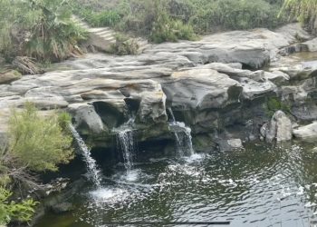 Invertirán $7.3 MDP en corredor verde