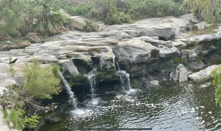 Invertirán $7.3 MDP en corredor verde