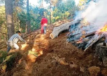 Incendios forestales crecen en Guerrero; registran quemas en 20 municipios
