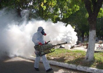 Temen brote de dengue en Tamaulipas