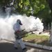 Temen brote de dengue en Tamaulipas