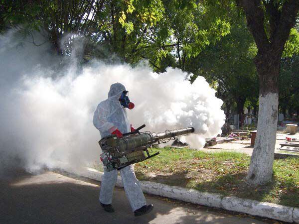 Temen brote de dengue en Tamaulipas
