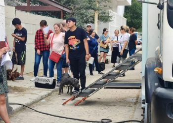 Reporta Comusa gran éxito en campaña de esterilización