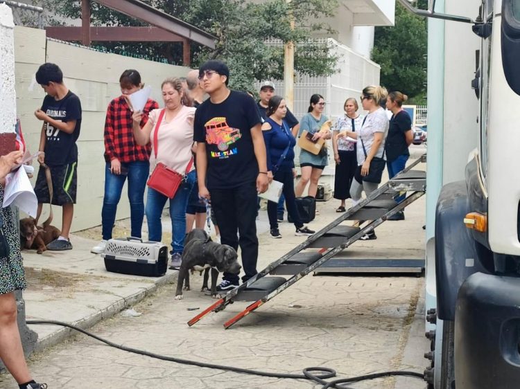 Reporta Comusa gran éxito en campaña de esterilización