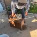 ES NUEVO LAREDO Único municipio de Tamaulipas en proteger la actividad de las abejas