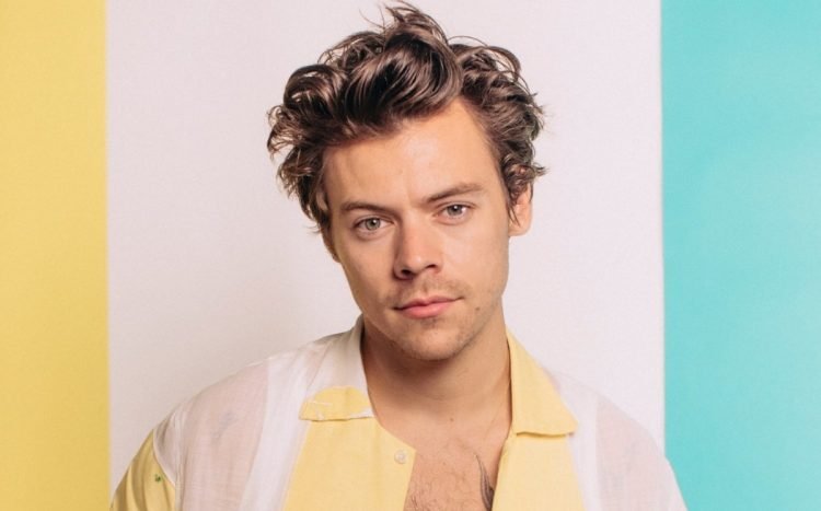 Mujer condenada por acosar a Harry Styles con miles de cartas enfrenta prisión y restricción