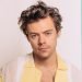 Mujer condenada por acosar a Harry Styles con miles de cartas enfrenta prisión y restricción