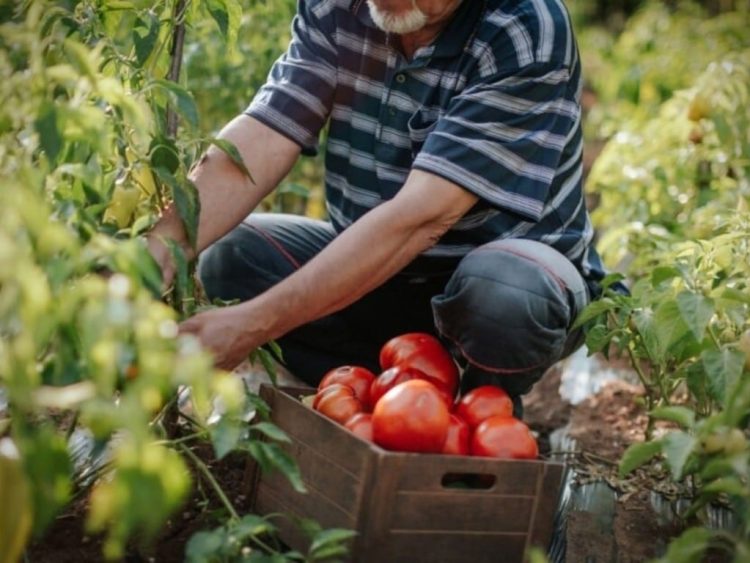 TRABAJOS EN EU Advierte Consulado sobre estafas por redes sociales