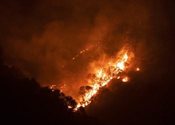 EN TODO MEXICO Suman más de 100 mil hectáreas incendiadas