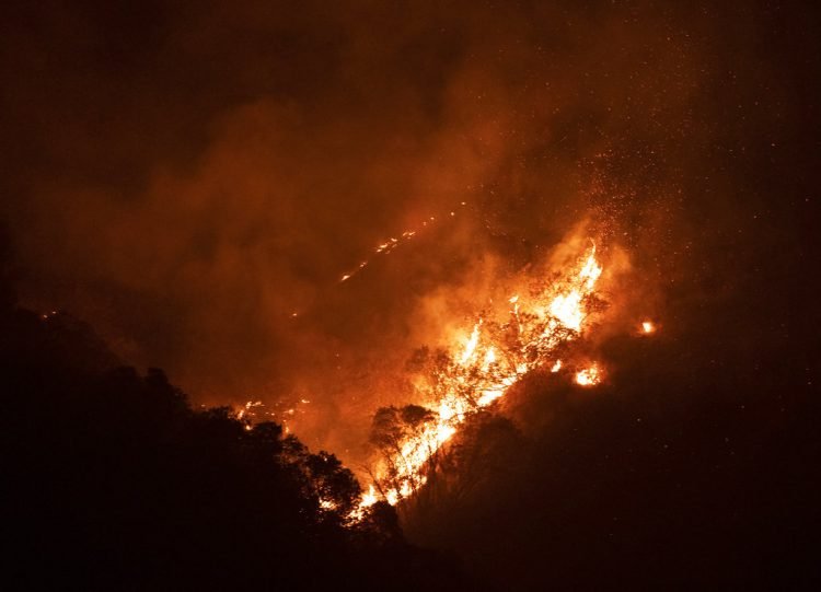 EN TODO MEXICO Suman más de 100 mil hectáreas incendiadas