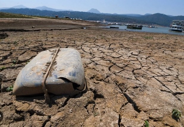 Ganaderos ponen sus esperanzas en “Aletta”
