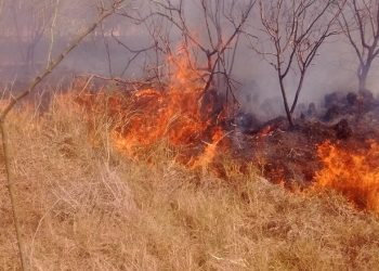 Disparan altas temperaturas incendios en Nuevo Laredo
