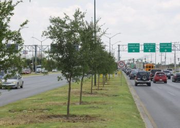 CLAMAN Y RECLAMAN ambientalistas por la reforestación