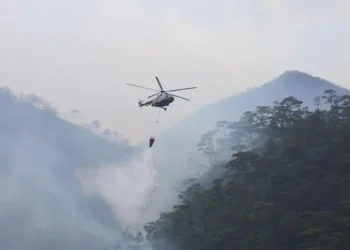 Incendios Forestales Alarman en México