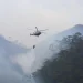 Incendios Forestales Alarman en México