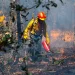 Más de 200 Incendios Asolan México en Medio de Ola de Calor Histórica»