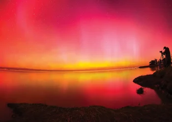 Fenómeno Celestial: Auroras Boreales Iluminan Cielos de Todo el Mundo