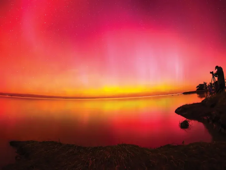 Fenómeno Celestial: Auroras Boreales Iluminan Cielos de Todo el Mundo
