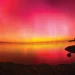 Fenómeno Celestial: Auroras Boreales Iluminan Cielos de Todo el Mundo