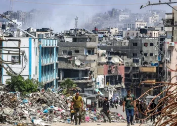 OMS Respaldada Cifras de Muertos en Gaza: Alrededor de 35 Mil Víctimas