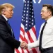 Trump podría contratar a Elon Musk como asesor político si gana elecciones
