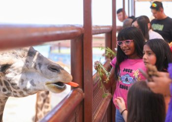 Visitan Zoológico, Acuario y albercas durante celebración del Día del Niño