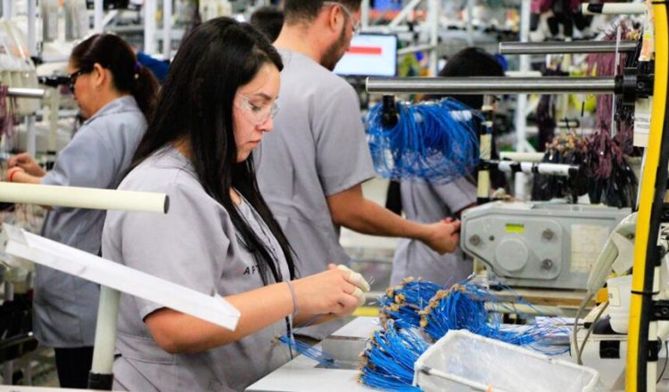 Escala Tamaulipas a lugar 7 en Evaluación Nacional del Empleo