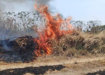 EN UNA SEMANA Calor provoca 26 incendios de pastizales y 4 incendios de casas
