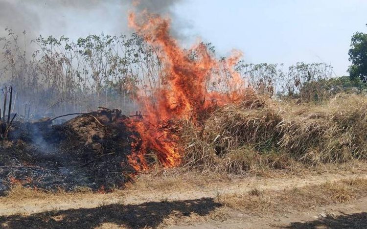 EN UNA SEMANA Calor provoca 26 incendios de pastizales y 4 incendios de casas