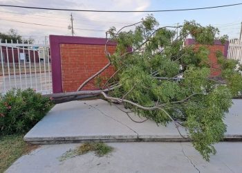 Tormenta causó daños a algunas escuelas de Educación Básica