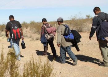 ASEGURA EL CONSULADO MEXICANO A la baja la cifra de migrantes fallecidos