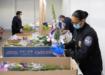 POR 10 DE MAYO Emite CBP restricciones para el cruce de flores a los EUA