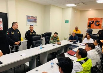 CONTROLADO AL 100% Extinguen incendio en Cañón del Novillo