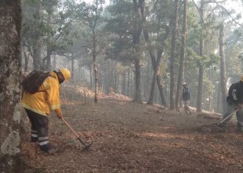 EN EL CAÑÓN DEL NOVILLO Continúa combate del incendio
