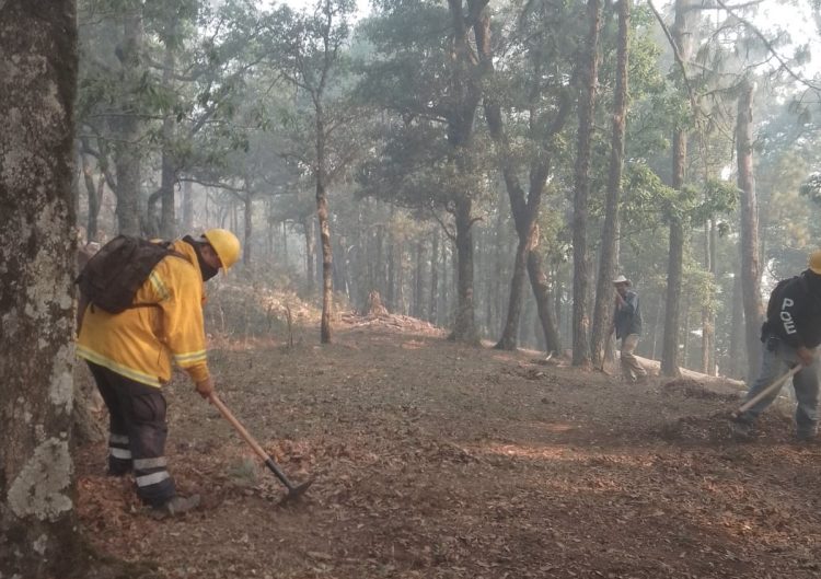 EN EL CAÑÓN DEL NOVILLO Continúa combate del incendio