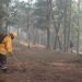 EN EL CAÑÓN DEL NOVILLO Continúa combate del incendio