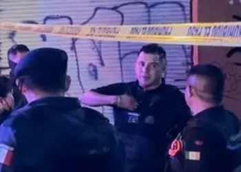 Rescatan a 25 mujeres víctimas de trata de personas en Quintana Roo