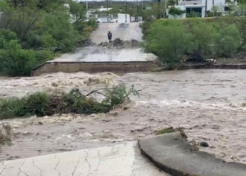 EN TAMAULIPAS ‘Alberto’ deja daños por más de mil mdp