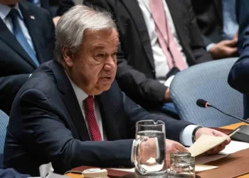 ONU presenta código contra la desinformación en línea