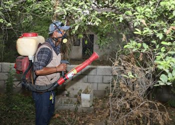 Recomienda SST eliminar criaderos y tirar cacharros para evitar dengue