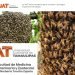 La UAT lanza campaña para rescatar y proteger enjambres de abejas