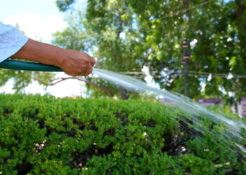 HASTA 10 MIL PESOS Aplicarán multas por desperdicio del agua