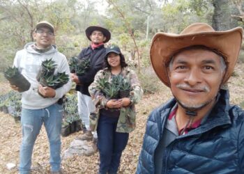 Busca UAT preservar la genética de las especies de maguey