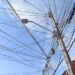 Llaman a empresas a retirar excesos de cables en postes