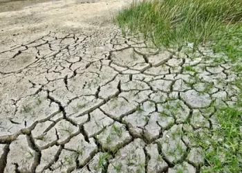 Sequía Se Extiende en México: 89.5% del País Afectado