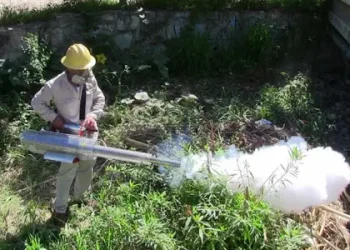 Oaxaca en alerta preventiva por aumento de casos de dengue