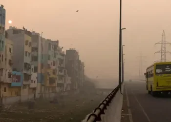 Contaminación del Aire Vinculada a 135 Millones de Muertes