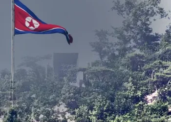 Soldados Norcoreanos Cruzan Frontera y Seúl Responde con Disparos